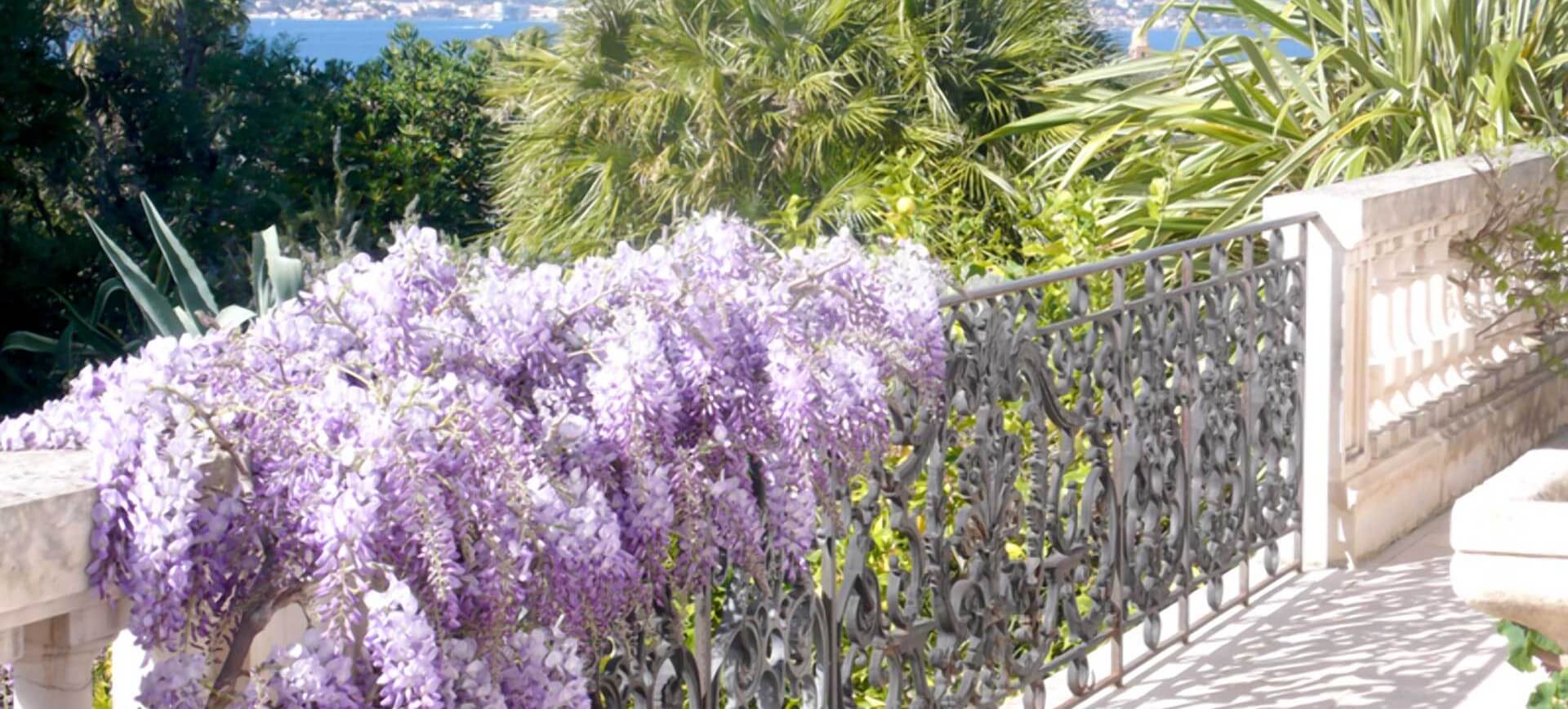 Petit Chateau Luxury Villa Saint-Tropez
