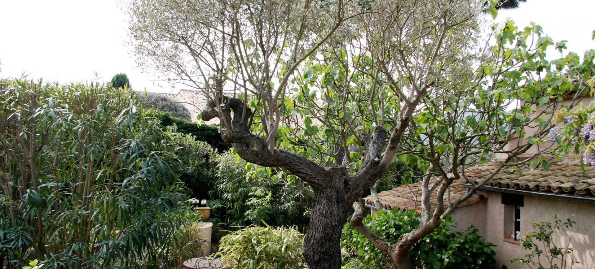 Villa Valentina, Saint Tropez — photo 11