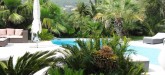 alana-pool-area