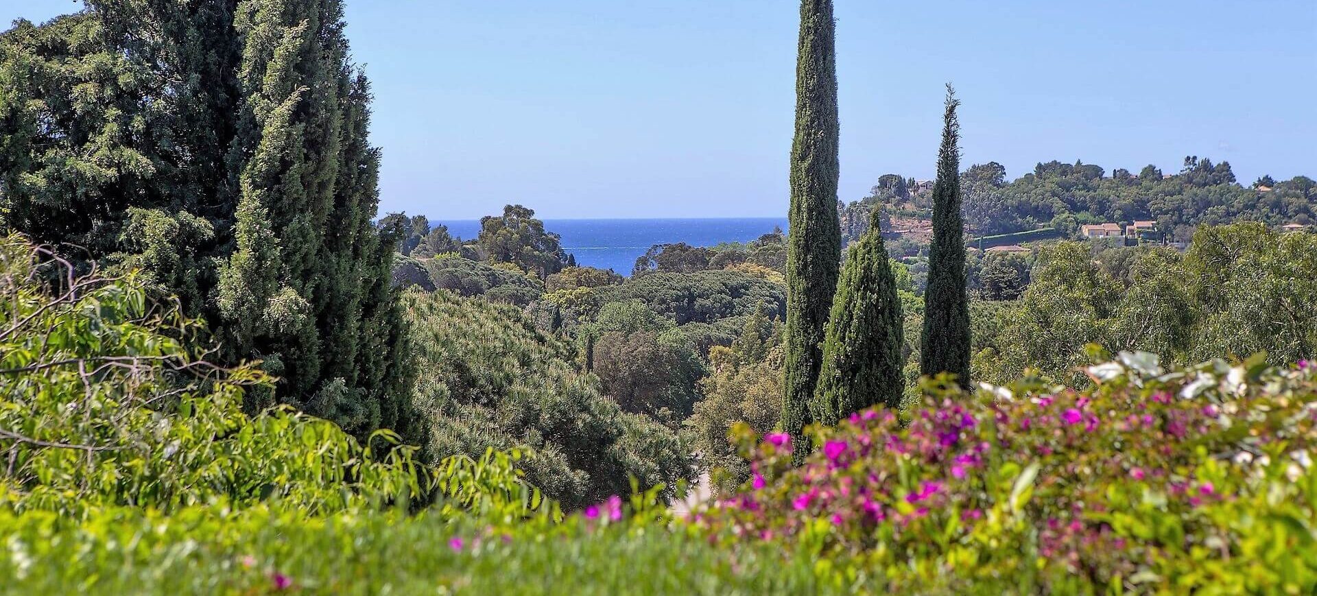 View at Villa d'Artist, La Croix Valmer / Saint-Tropez