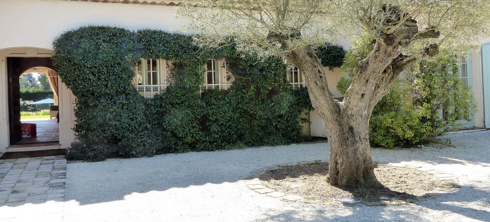 Вилла Фабьен — luxury villa rental in Saint-Tropez | Cyrus International