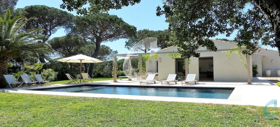 Villa Saint-tropez Garden pool